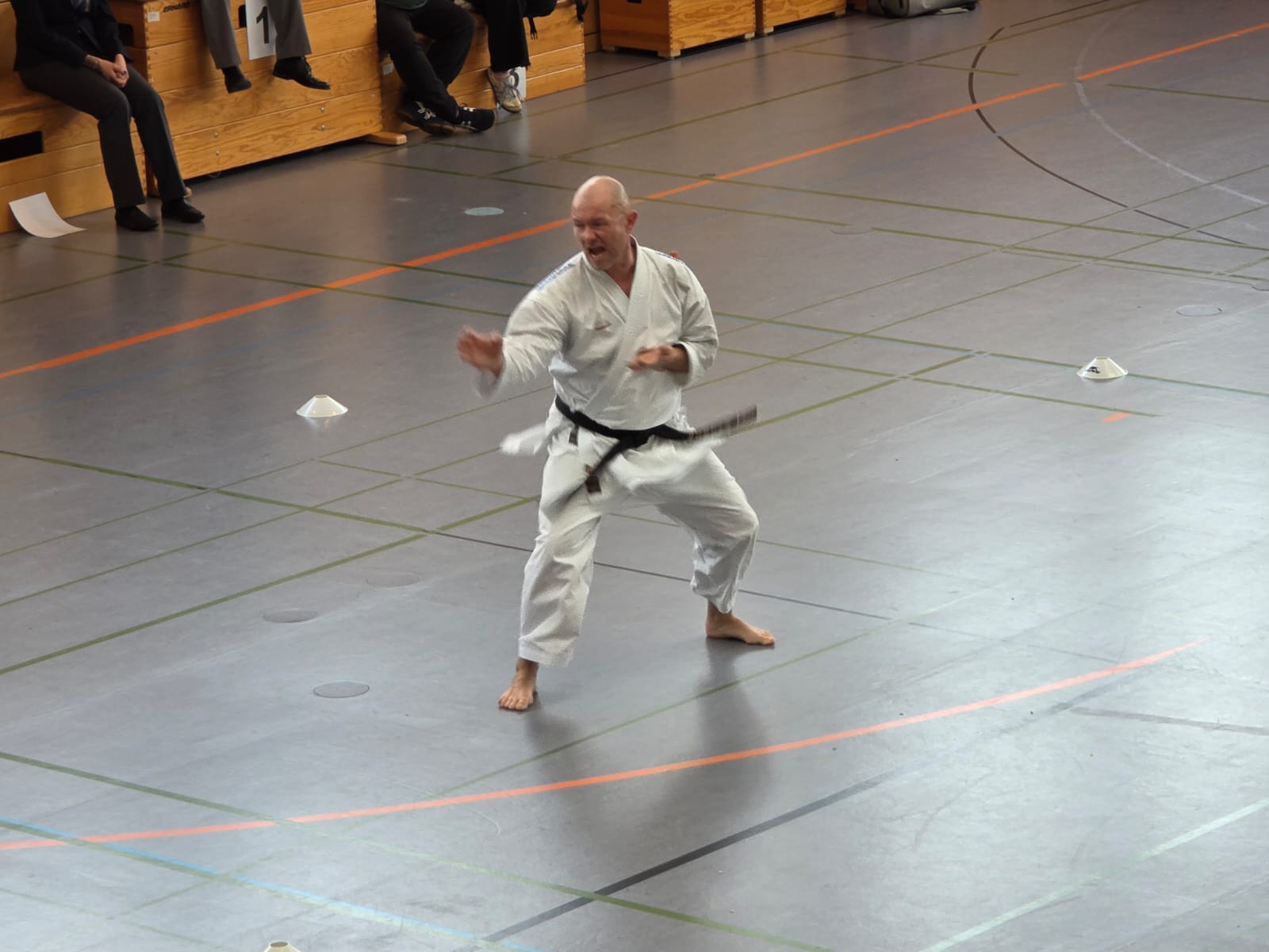 Vergrößerbares Bild